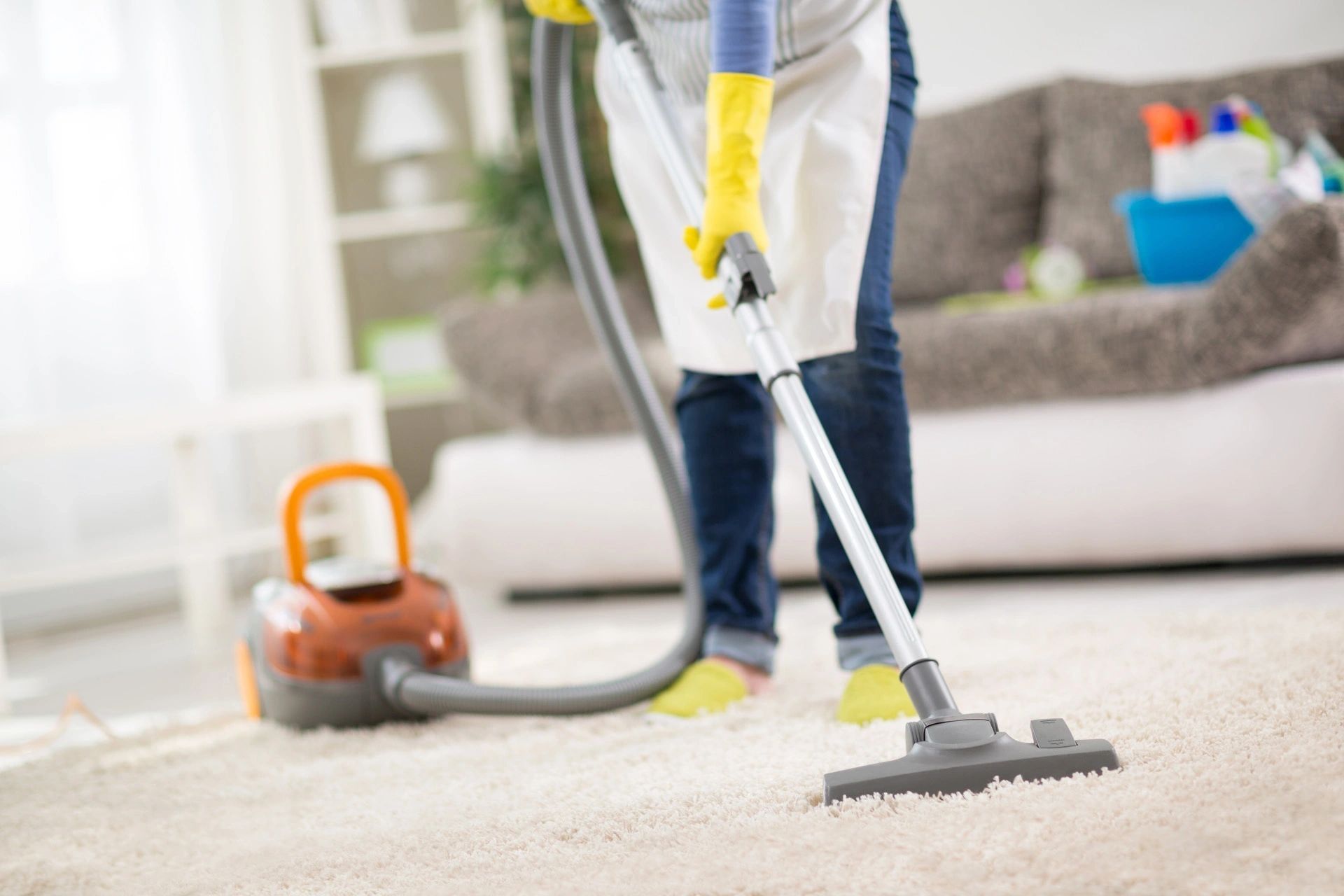 Person vacuuming carpet
