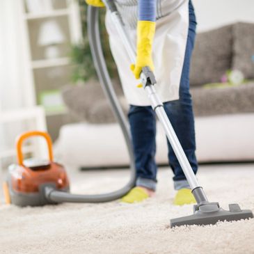 Professional cleaner with equipment in living room